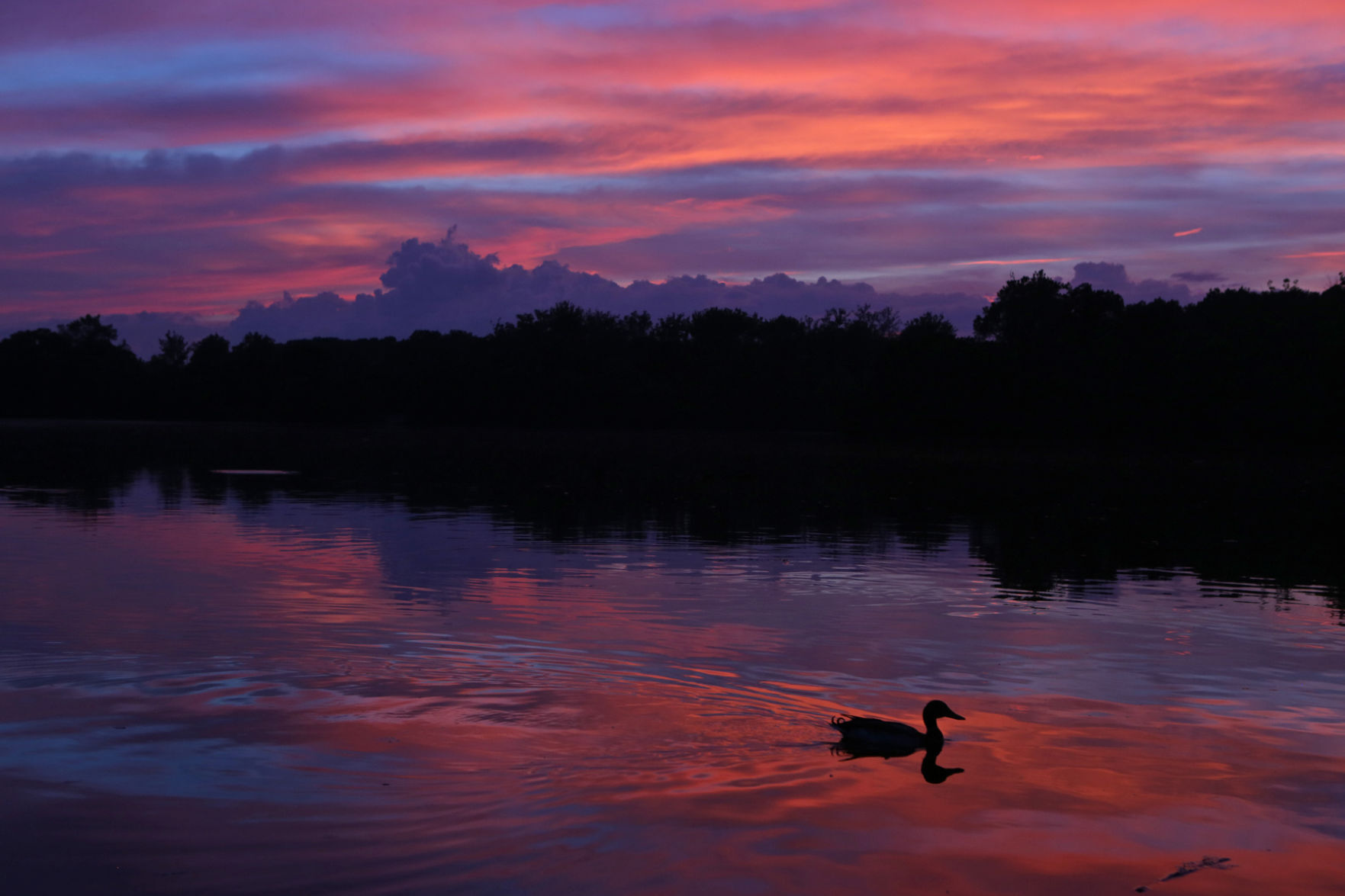 Evening colors at Simpson Lake